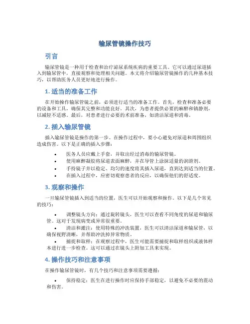 输尿管镜操作技巧