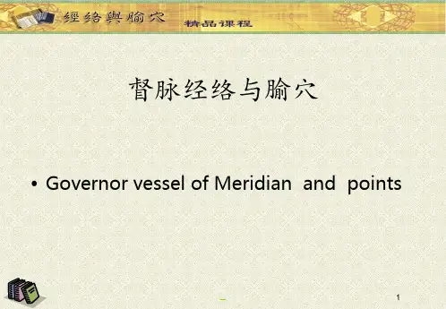 经络学-督脉PPT课件