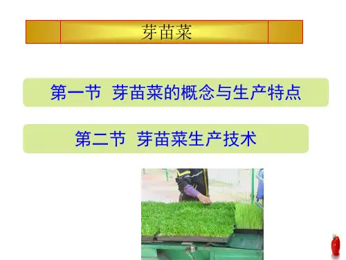 芽苗菜生产以及技术要点