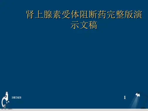 肾上腺素受体阻断药完整版演示文稿