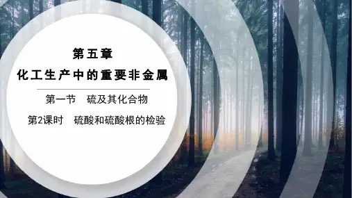 第1节第二课时硫酸和硫酸根的检验课件下学期高一化学人教版必修第二册