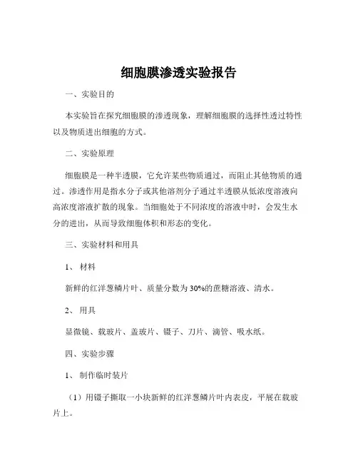 细胞膜渗透实验报告
