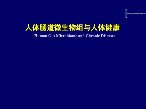人体肠道微生物组与人体健康