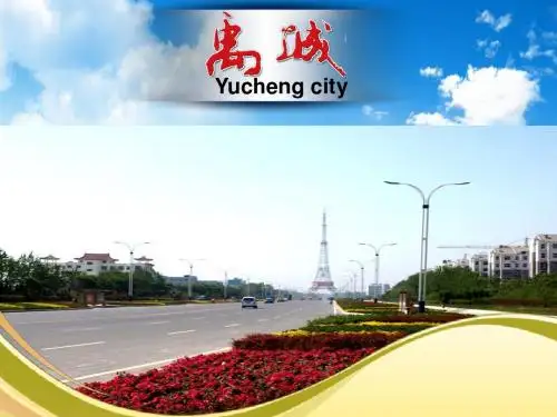 中国禹城1