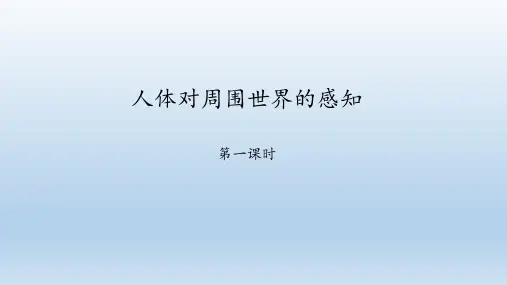 济南版生物七年级下册：5.4 人体对周围世界的感知  课件(共46张PPT)