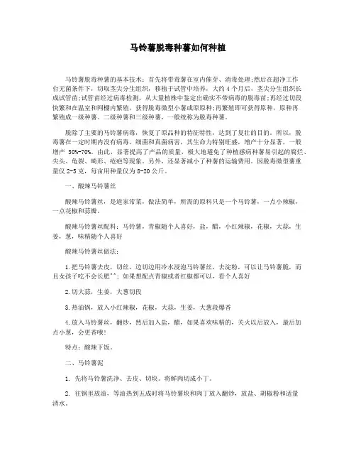 马铃薯脱毒种薯如何种植
