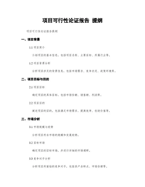 项目可行性论证报告 提纲