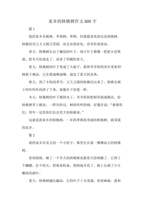 家乡的核桃树作文600字