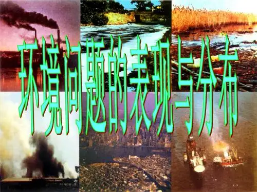 环境问题的表现与分布.ppt