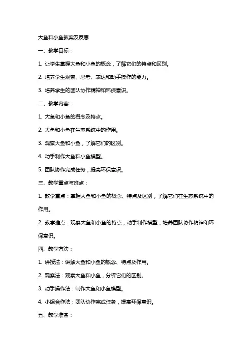 大鱼和小鱼教案及反思