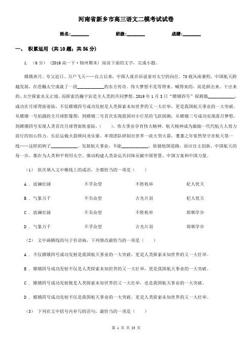 河南省新乡市高三语文二模考试试卷