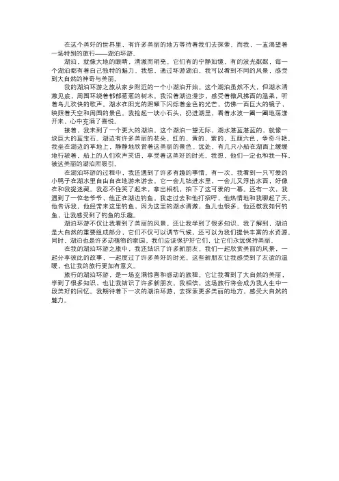 旅行的湖泊环游