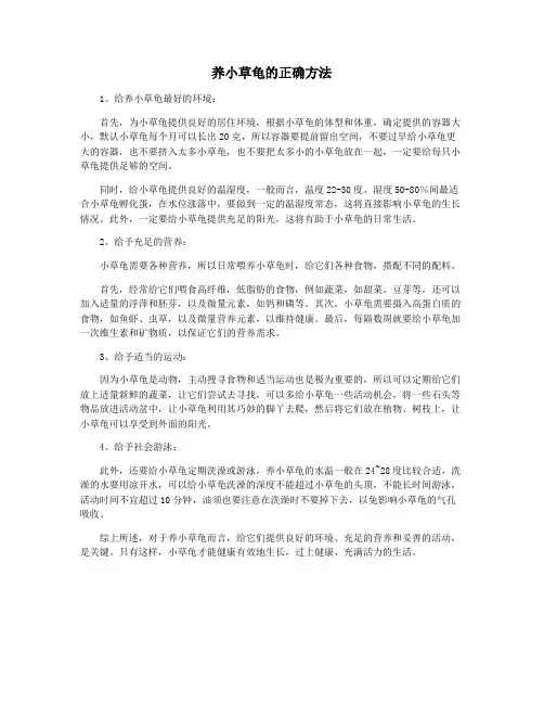养小草龟的正确方法