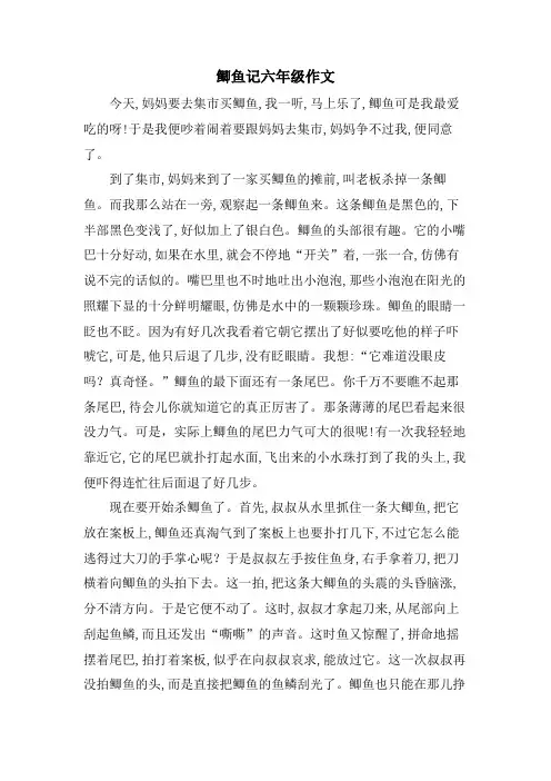 鲫鱼记六年级作文