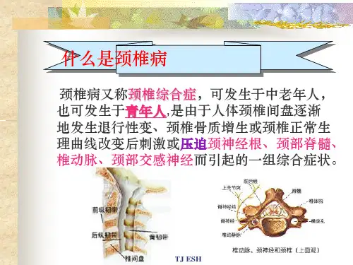 教师保健颈椎操ppt课件