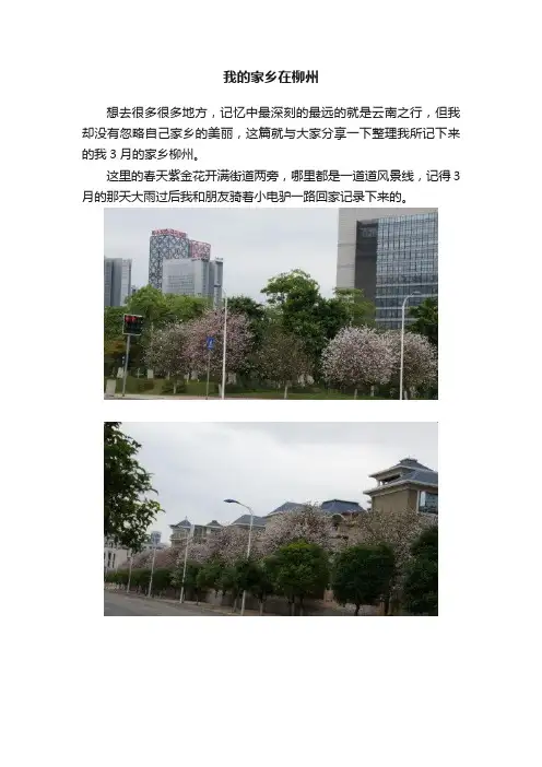 我的家乡在柳州