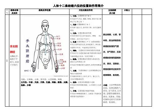 人体十二条经络穴位的位置和作用简介yxp