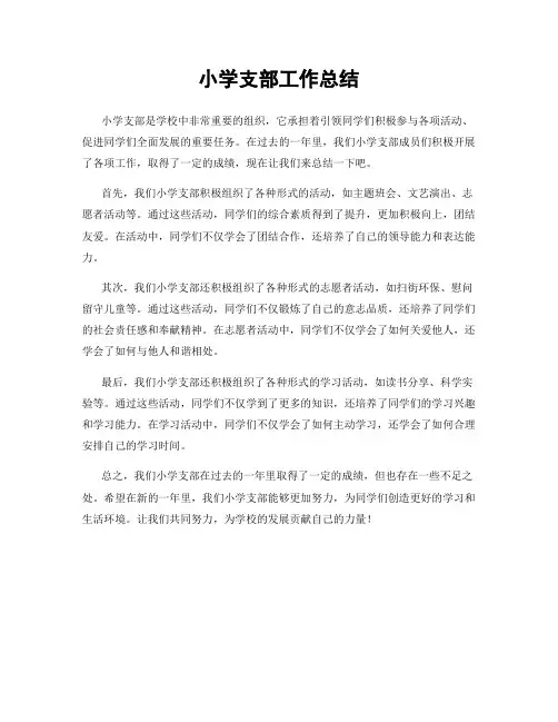 小学支部工作总结