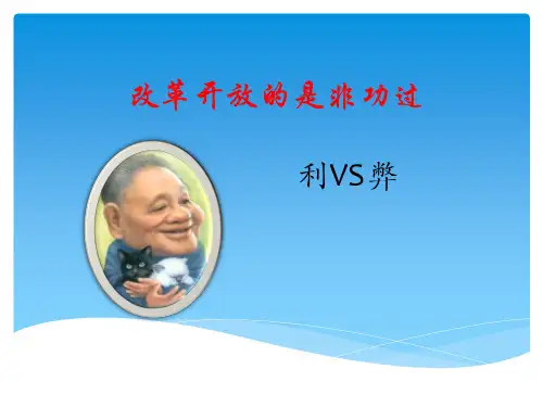 改革开放的是非功过