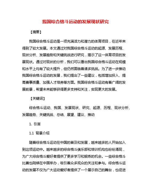 我国综合格斗运动的发展现状研究