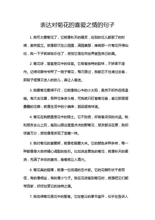 表达对菊花的喜爱之情的句子