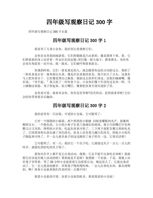 四年级写观察日记300字