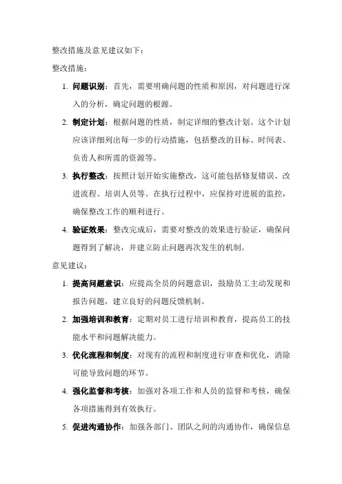 整改措施及意见建议