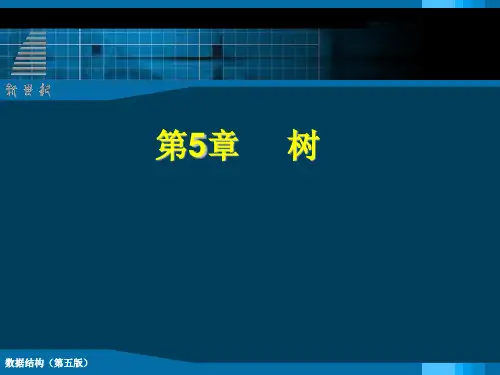 第五章 树分析