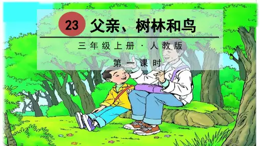 人教版小学三年级上册语文教学课件 第七单元 23 父亲、树林和鸟
