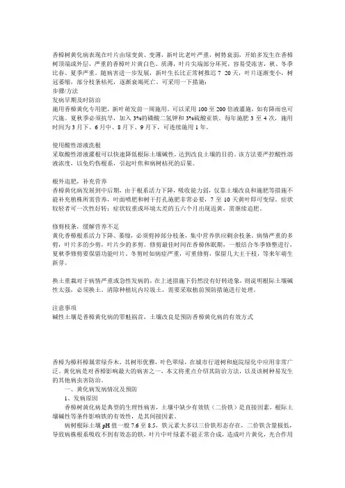 香樟黄化