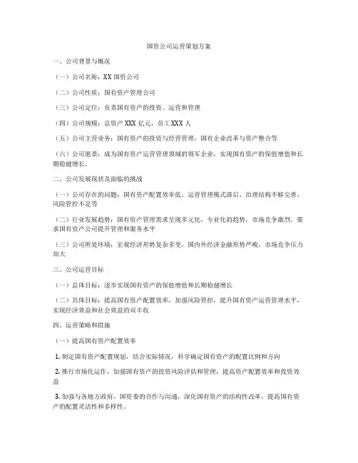 国资公司运营策划方案