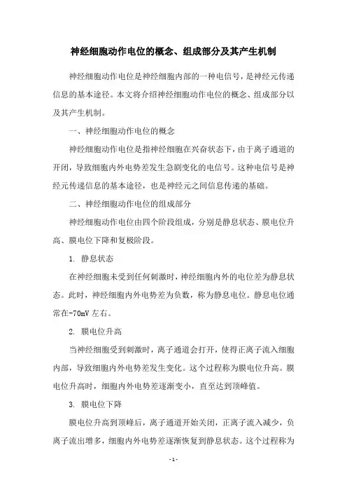 神经细胞动作电位的概念、组成部分及其产生机制