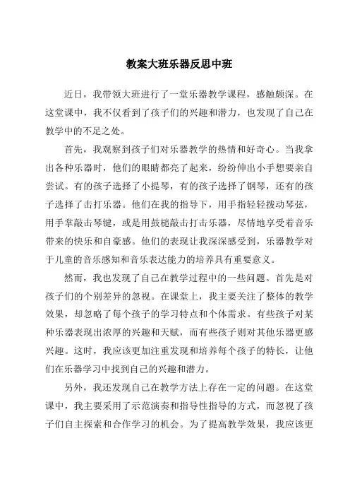 教案大班乐器反思中班