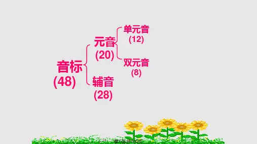 国际英语音标学习的PPT课件PPT课件