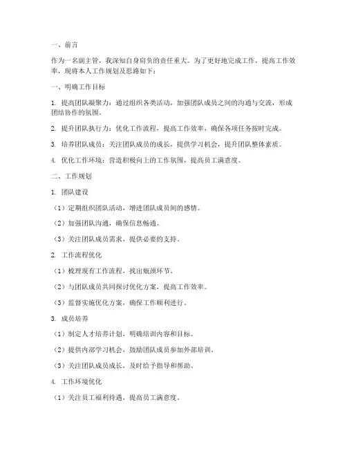 副主管工作规划及思路
