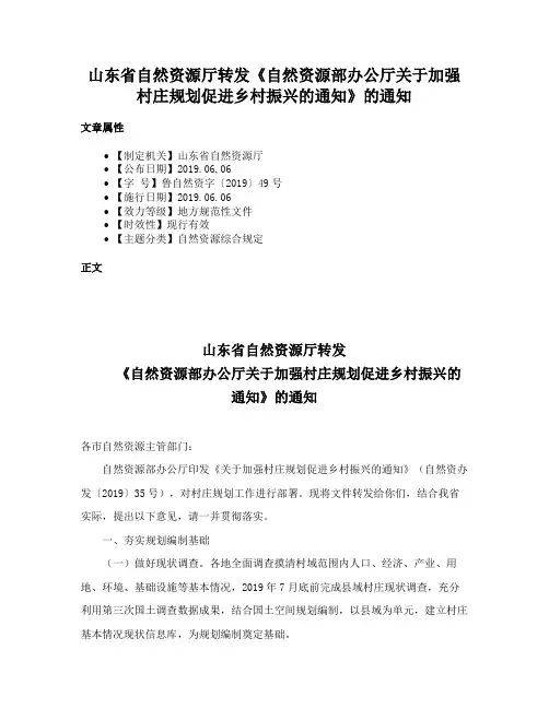 山东省自然资源厅转发《自然资源部办公厅关于加强村庄规划促进乡村振兴的通知》的通知