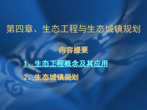 生态工程与生态城镇规划培训课件(ppt 67页)