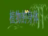 《植物的身体》