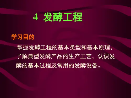 宋存江生物技术概论4发酵工程