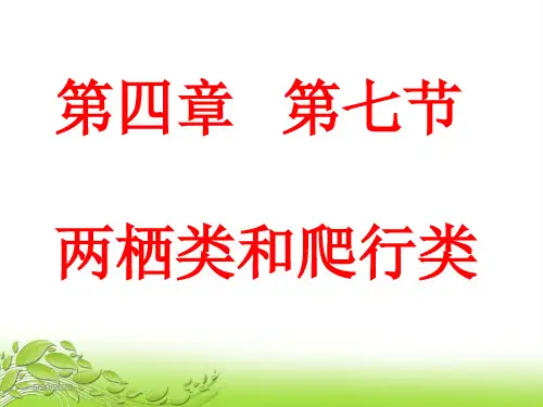 人教版八年级生物第五单元第一章《两栖类和爬行类》课件(共36张PPT)