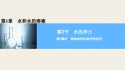 第3节 水的浮力第3课时PPT课件(初中科学)