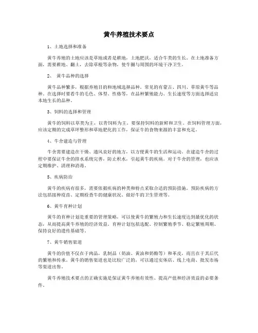 黄牛养殖技术要点