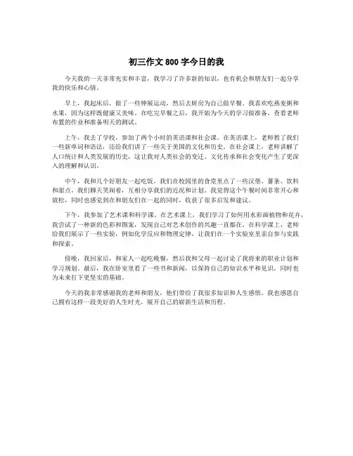 初三作文800字今日的我