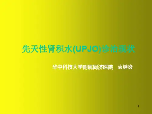 先天性肾积水诊治现状ppt课件