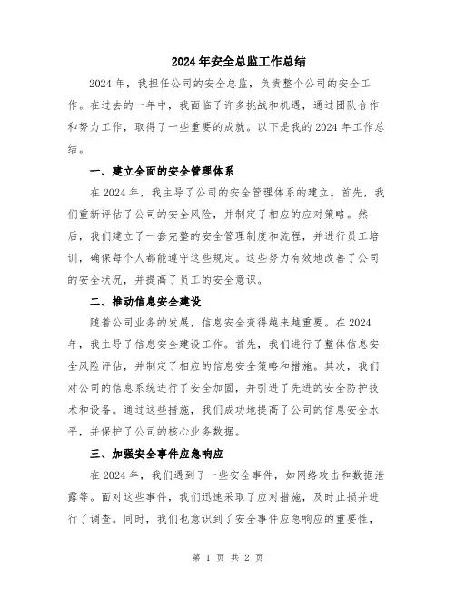 2024年安全总监工作总结
