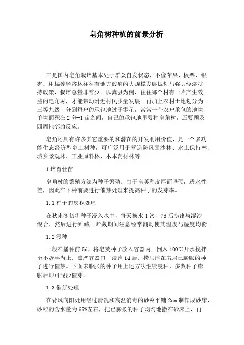 皂角树种植的前景分析