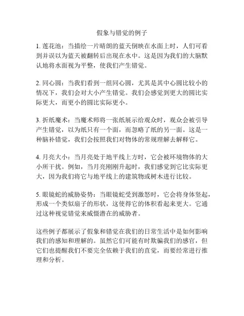 假象与错觉的例子