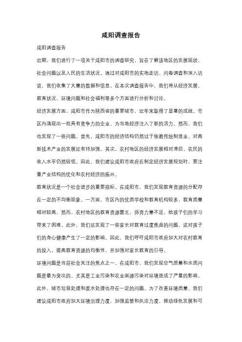 咸阳调查报告
