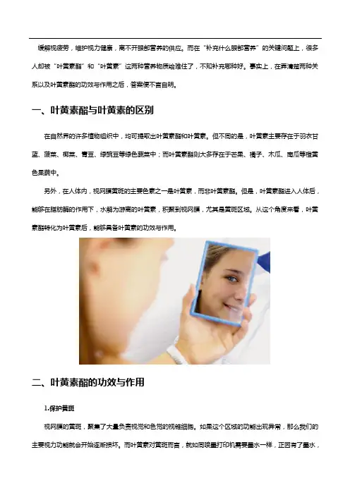 叶黄素酯和叶黄素有什么区别,知晓叶黄素酯的功效与作用