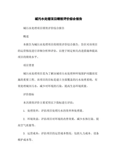 城污水处理项目绩效评价综合报告